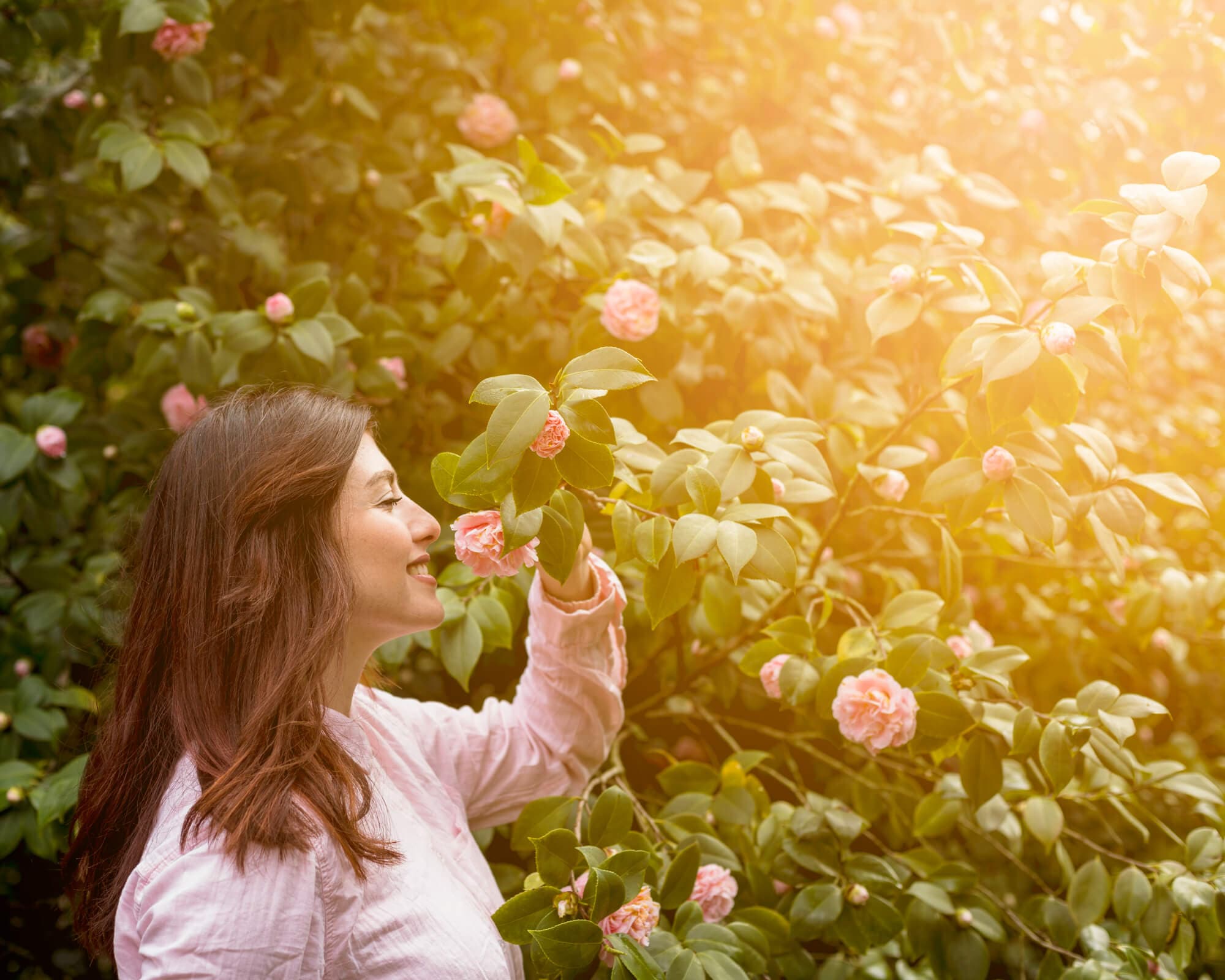 Jardin Mental illustration